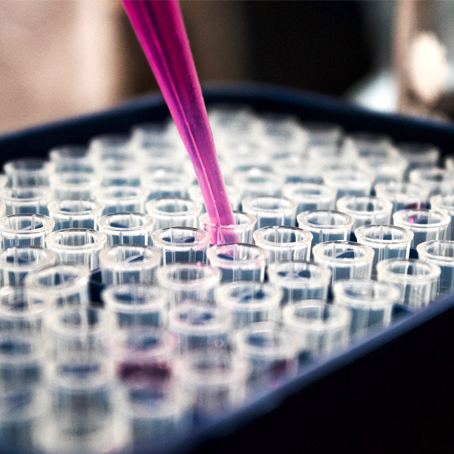 Laboratorija